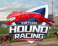 KM Virtual Hound Racing